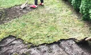 Снятие дерна старого газона в Сарапуле – от 511 руб. | 2Землекопа-Срл